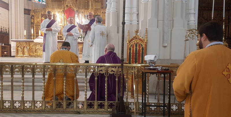 DetalleImagenRodillas23