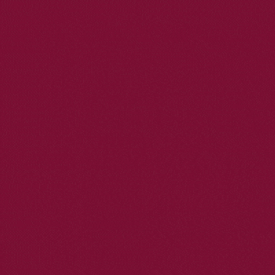 Convivium - Asamblea Presbiteral