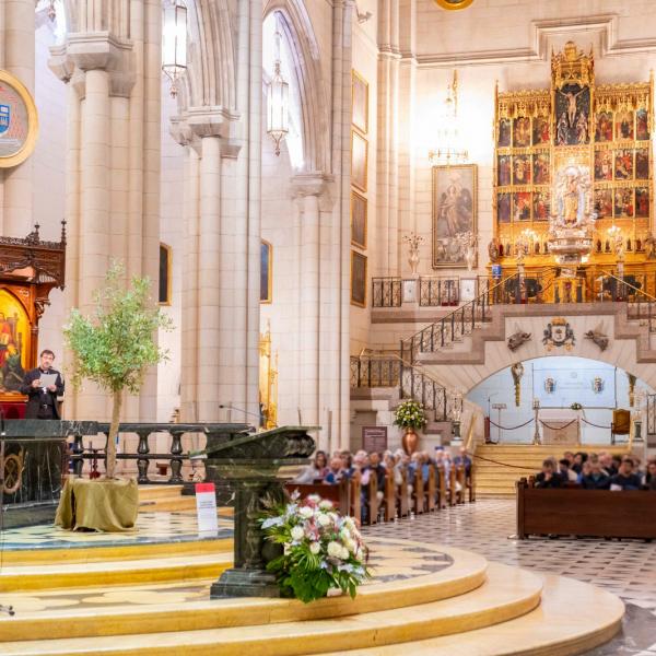 2024-11-21 - Acto de Reconocimiento y Reparación a las víctimas de abusos en la Iglesia