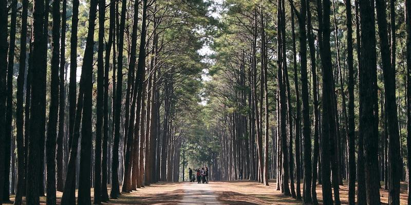 Finalizan los campamentos de C&aacute;ritas Diocesana de Madrid en Cercedilla y Los Palancares