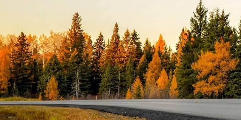 Nueva sesi&oacute;n de 'Fortes in fide' en Mar&iacute;a Madre del Amor Hermoso de Villaverde Bajo