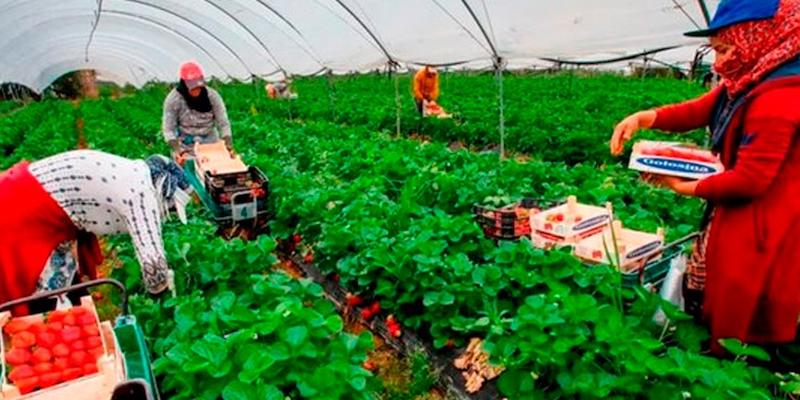 III Seminario Antonio Algora, 'La Pastoral del Trabajo en el acompa&ntilde;amiento a las personas migrantes'