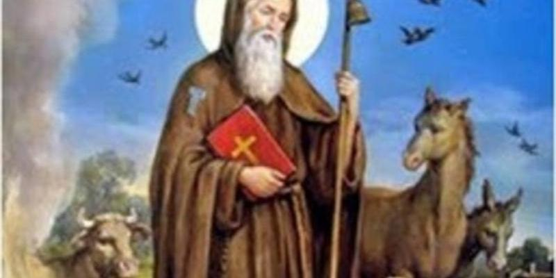 Bendici&oacute;n de mascotas en San Le&oacute;n Magno en la fiesta del patrono de los animales