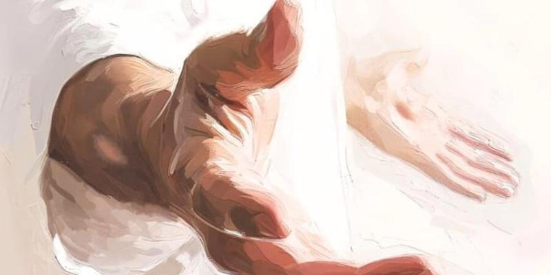 El cardenal Jos&eacute; Cobo preside en la catedral la Eucarist&iacute;a de ordenaci&oacute;n de trece nuevos di&aacute;conos