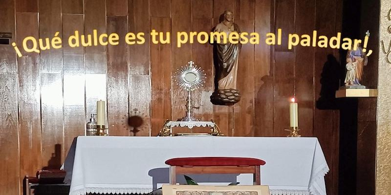 La RCCE invita a participar en Nuestra Se&ntilde;ora de Lourdes y San Justino en su noche de adoraci&oacute;n y alabanza de julio